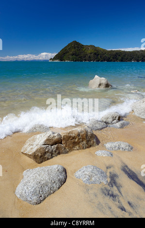 Vista del litorale e Adele isola dalla spiaggia, il Parco Nazionale Abel Tasman, Isola del Sud, Nuova Zelanda Foto Stock