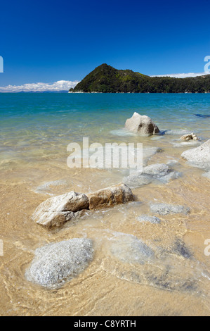 Vista del litorale e Adele isola dalla spiaggia, il Parco Nazionale Abel Tasman, Isola del Sud, Nuova Zelanda Foto Stock