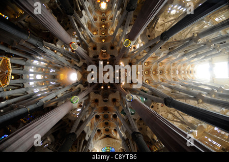 Guardando il soffitto della Basílica y Templo Expiatorio de la Sagrada Familia di Barcellona, Spagna Foto Stock