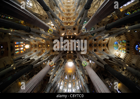 Guardando il soffitto della Basílica y Templo Expiatorio de la Sagrada Familia di Barcellona, Spagna Foto Stock