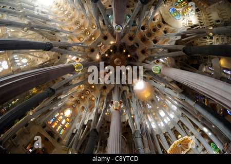 Guardando il soffitto della Basílica y Templo Expiatorio de la Sagrada Familia di Barcellona, Spagna Foto Stock