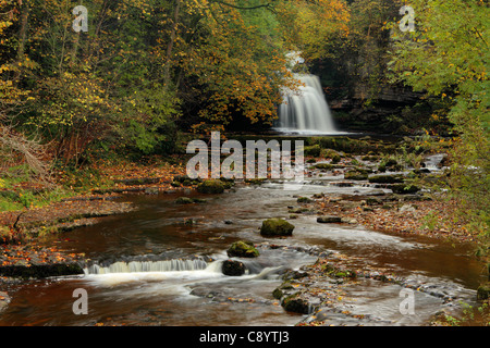 Autunno a forza di calderone di West Burton, Yorkshire, Inghilterra Foto Stock