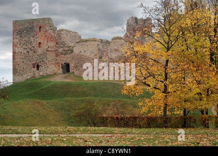 Livonia ordine Castello, è stato costruito nella metà del XV secolo. Bauska, Lettonia. Foto Stock