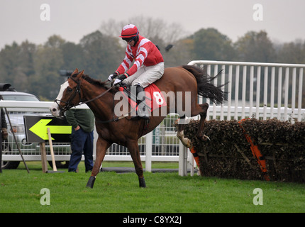 Enfant De Lune cavalcato da Connr O'Farrell vince lo specchio gli scommettitori Club Fantini condizionale' Handicap Hurdle a Sandown Park Racecourse, Speen, Surrey - 05/11/2011 - Intervento obbligatorio CREDITO: Martin Dalton/TGSPHOTO - fatturazione automatica si applica ove appropriato - 0845 094 6026 - contact@tgsphoto.co.uk - NO NON CORRISPOSTO Foto Stock