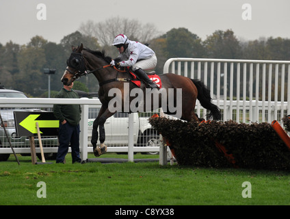 Patto di Varsavia cavalcato da Robert Kirk prende l'ultimo nello specchio gli scommettitori Club Fantini condizionale' Handicap Hurdle a Sandown Park Racecourse, Speen, Surrey - 05/11/2011 - Intervento obbligatorio CREDITO: Martin Dalton/TGSPHOTO - fatturazione automatica si applica ove appropriato - 0845 094 6026 - contact@tgsphoto.co.uk - n. U Foto Stock