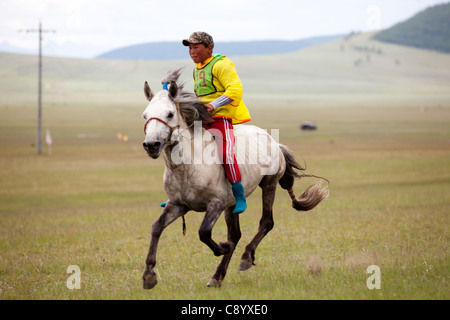 Bambino mongolo horse racing al Naadam festival di Tsagaannuur, Khövsgöl, Mongolia Foto Stock