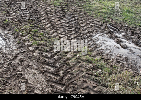 I cingoli del trattore nel fango Foto Stock