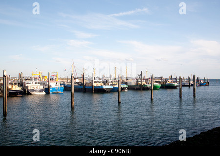 Il porto di pesca di Bruinisse, Schouwen-Duiveland, Zelanda, Olanda Foto Stock
