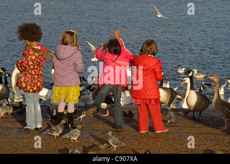 Le ragazze giovani alimentazione di uccelli, stagno rotondo, Kensington Gardens, Hyde Park Londra Foto Stock