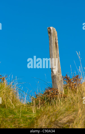 Paesaggio, palo da recinzione, essiccato, sabbia Dumes, cielo blu Foto Stock