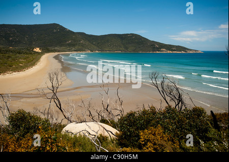 Oberon Bay, Wilsons Promontory National Park, Victoria, Australia Foto Stock