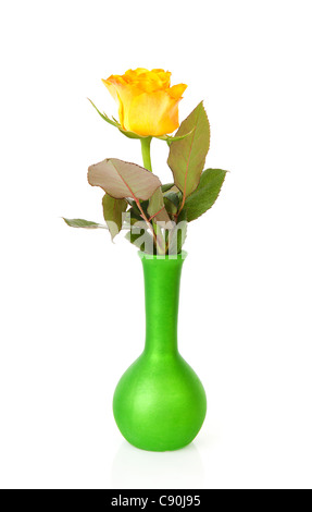 Una rosa gialla in vaso verdi su sfondo bianco Foto Stock