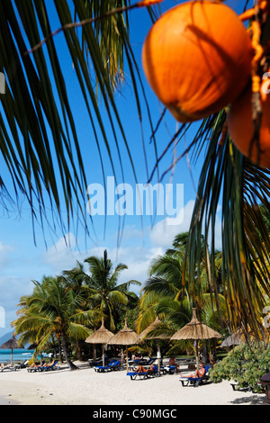 Le palme e la gente sulla spiaggia di Beachcomber Hotel Paradis &amp;amp;amp; Golf Club, Mauritius, Africa Foto Stock