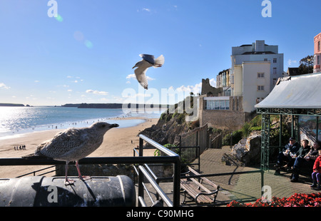 Seapromenade a Tenby, Pembrokeshire, a sud del Galles Wales, Gran Bretagna Foto Stock