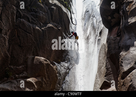 Persone canyoning al Canyon du Fleur Jaune bei Cilaos, La Reunion, Oceano Indiano Foto Stock