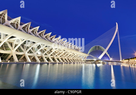 Il Museo della Scienza Museu de les Ciencies Principe Felipe e ponte Puente de l'Assut de l'o Città delle Arti e delle scienze Cuidad d Foto Stock