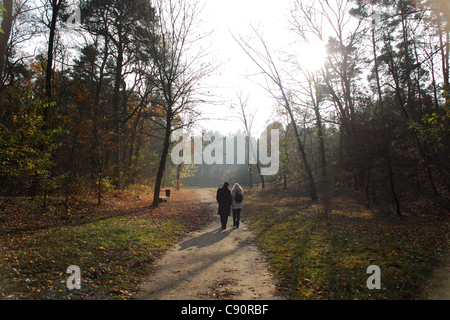Coppia di mezza età tenendo una romantica passeggiata durante la giornata calda e soleggiata nel Parco Mlociny, Varsavia, Polonia. Domenica 6 novembre 2011. Foto Stock