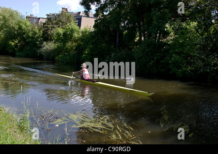 Femmina rematore racing su Union Canal nel centro di Edimburgo, Scozia Foto Stock