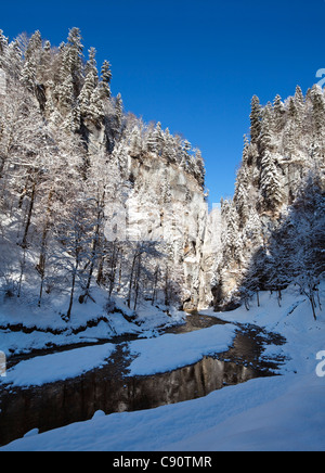 Flusso di Partnach immettendo il Partnach gorge vicino a Garmisch Partenkirchen, Alta Baviera, Germania, Europa Foto Stock