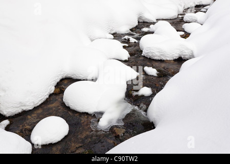 Creek Kleine ohe con neve profonda in inverno, Parco Nazionale della Foresta Bavarese, Bassa Baviera, Germania, Europa Foto Stock