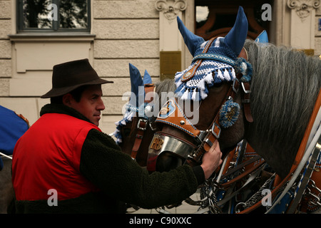 Cavalli partecipare alla cerimonia di apertura del festival della birra Oktoberfest a Monaco di Baviera, Germania. Foto Stock