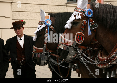 Cavalli partecipare alla cerimonia di apertura del festival della birra Oktoberfest a Monaco di Baviera, Germania. Foto Stock