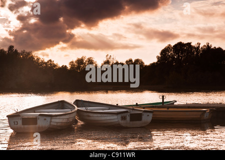 Un autunno tramonto sul lago a Colwick Country Park, Nottingham, Nottinghamshire, England, Regno Unito Foto Stock