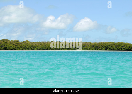 La riserva di Cayo Grande è a Los Roques PARCO NAZIONALE della costa del Venezuela ed è il più grande parco marino del Foto Stock