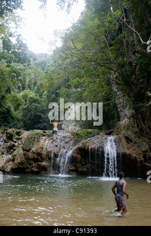 Ci sono le cascate e piccole piscine nei fiumi della foresta pluviale in Samana Repubblica Dominicana. Foto Stock