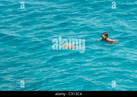 Paesi Bassi, Bonaire Island, olandese dei Caraibi, Kralendijk, Snorkler, la donna, la tartaruga verde (Chelonia Mydas). Foto Stock