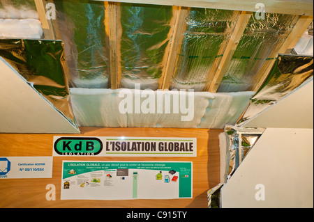 Parigi, Francia, Batimat Construction Materials Trade Show, KDB Home Insulation Company display, Global Green Economy Concept, Energy Efficient housing, House Improvement Energy Foto Stock