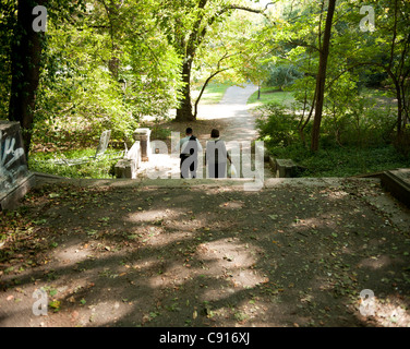 Prospect Park di Brooklyn offre un santuario naturale dalla frenetica vita quotidiana con i suoi numerosi spazi aperti di alberi e laghi. Data Foto Stock