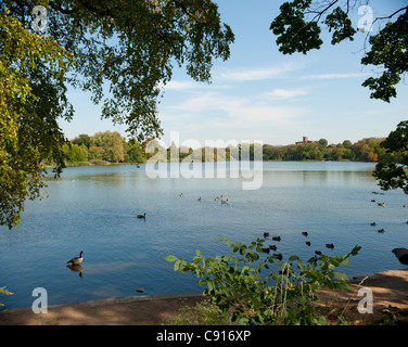 Prospect Park di Brooklyn offre un santuario naturale dalla frenetica vita quotidiana con i suoi numerosi spazi aperti di alberi e laghi. Data Foto Stock