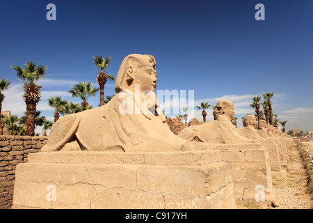 Tempio di Karnak è un immenso tempio pharonic e open-air museum e il più grande sito religioso antico nel mondo. Il viale di Foto Stock