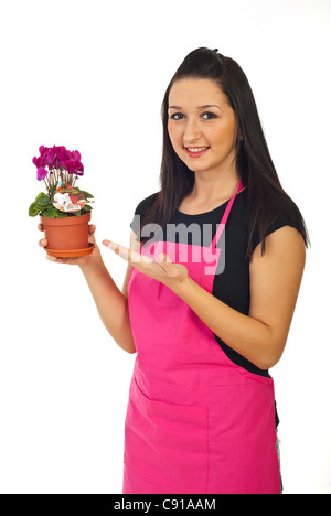 Fioraio donna in un negozio che offre il ciclamino in una pentola per la vendita isolati su sfondo bianco Foto Stock