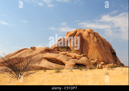 Rosso di roccia di granito a Savannah, grande Spitzkoppe, Namibia Foto Stock