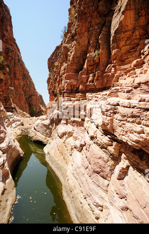 La donna attraversa canyon con con specchio d acqua a catena, sentiero Oliva, Naukluft mountains, Namib Naucluft National Park, Namibia Foto Stock