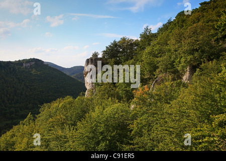 Rocce calcaree nei pressi di Lichtenstein, Svevo, Baden-Württemberg, Germania Foto Stock