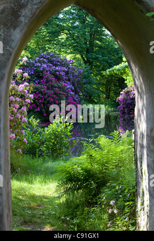 La fioritura dei rododendri in piena fioritura, visto attraverso il passaggio a volta, torre in rovina, Breidings giardino, Soltau, Bassa Sassonia, Germania Foto Stock