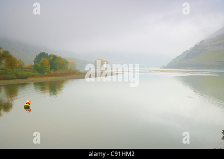 Vista dalla foce del fiume Nahe al Maeuseturm (Topi torre) e presso le rovine del castello di Ehrenfels Bingen lei culturale Foto Stock