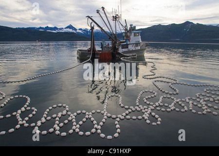 Rosa salmone con sciabica inizio al raggio della net, Unakwik, Prince William Sound, centromeridionale Alaska, estate Foto Stock