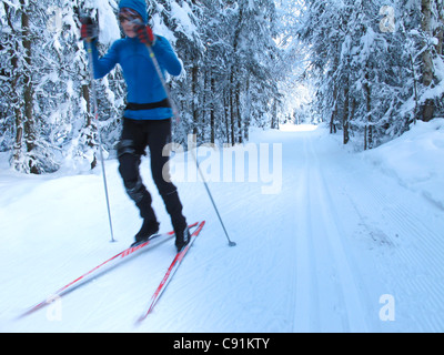 Donna Nordica sci skate attraverso gli alberi su Chester Creek Trail, Anchorage, centromeridionale Alaska, inverno Foto Stock