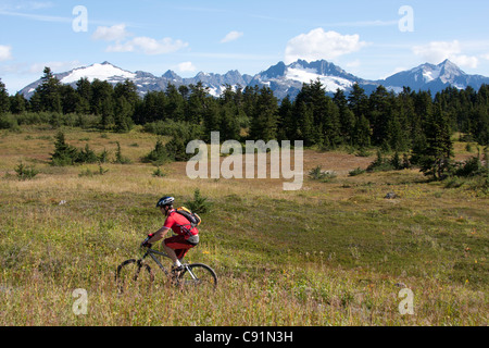 Mountain Biker sul lago perduto il sentiero vicino a Seward, Penisola di Kenai, centromeridionale Alaska, estate Foto Stock