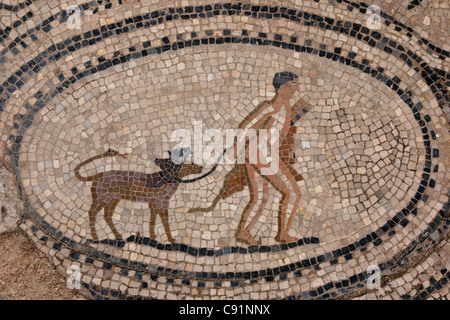 Ercole e Cerbero. Mosaico romano dalla casa delle fatiche di Ercole a Volubilis, Marocco. Foto Stock