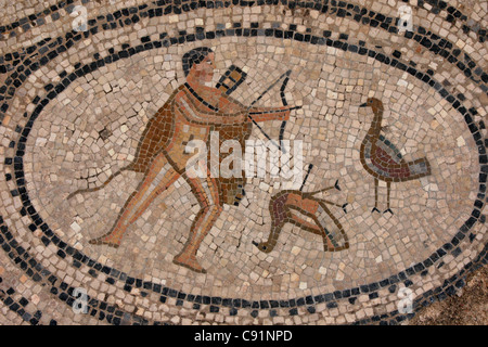 Ercole e il Stymphalian uccelli. Mosaico romano dalla casa delle fatiche di Ercole a Volubilis, Marocco. Foto Stock