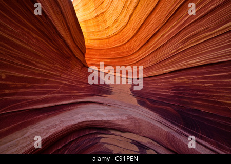 Slot canyon, l'onda Coyote Buttes, Vermiglio scogliere monumento nazionale Foto Stock