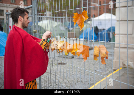 Pedro 34 da Lisbona, Portogallo, fissa le foglie di autunno a una barricata attorno alla Cattedrale di St Paul. Esso è stato vietato di mettere cartelloni di protesta su questo particolare barricade. Città di Londra, Regno Unito. 8 novembre 2011. Foto: Graham M. Lawrence Foto Stock