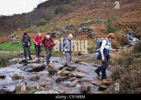 Il nord del Galles, UK. Gruppo di alti Ramblers con pali trekking attentamente che attraversa un ruscello di montagna su pietre miliari Foto Stock