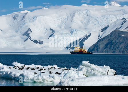 I pinguini su ghiaccio, le montagne e la Kapitan Khlebnikov, Cape Hallett, Mare di Ross, Antartide. Foto Stock