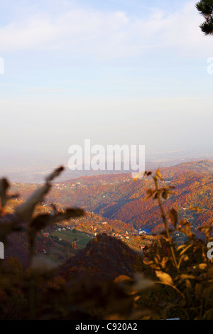 Vista su Zagabria da Samobor colline attraverso i rami degli alberi. Foto Stock